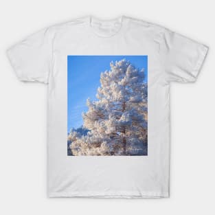 Hoarfrost pine tree T-Shirt